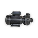 Spapump Balboa Niagara 3 HK 2 Speed