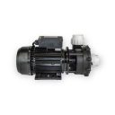 Spapump LX WP-250-II