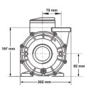 Spapump LX WP-250-II