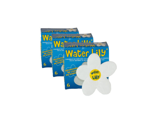 Water Lily 3-pack