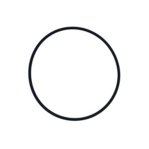 O-ring till Spapump LX LP150 / LP200 / LP250 - 62 x 4,5 mm