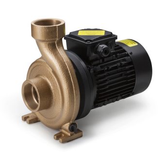 835283_medium_flovise-pahlen