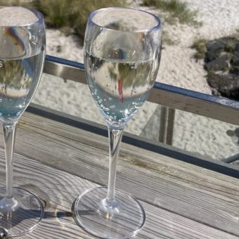 Palma-Champagneglas-plast-17cl