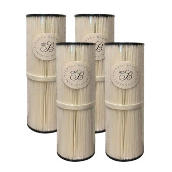 Spafilter Svenska Bad SC1001 4-pack
