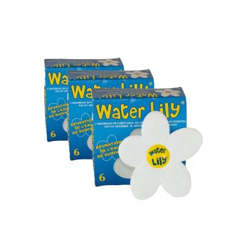 Water Lily 3-pack